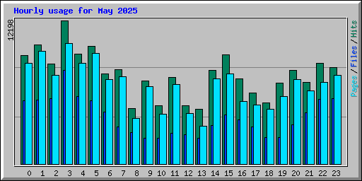 Hourly usage for May 2025
