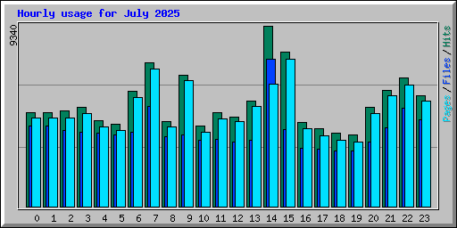 Hourly usage for July 2025