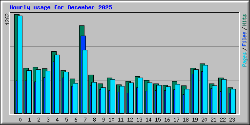 Hourly usage for December 2025