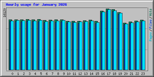 Hourly usage for January 2026